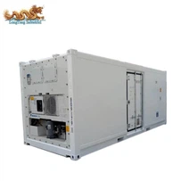 20 فٹ اوپن سائیڈ ریفر کنٹینر